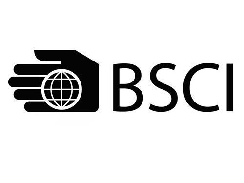 BSCI验厂，最新变化（2+4）