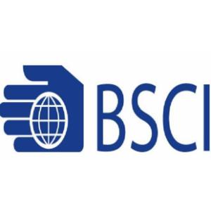 公司都想了解的深圳BSCI验厂审核内容