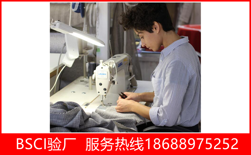 恭祝东莞某电子有限公司顺利通过SGS审核的BSCI验厂