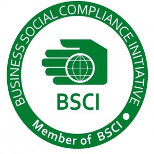 BSCI验厂标准关于劳工劳动合约有哪些方面规定