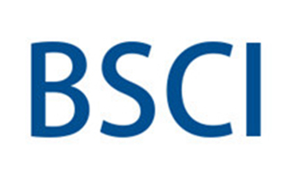 来看看BSCI 验厂平台会员如何给供应商做RSP授权的？