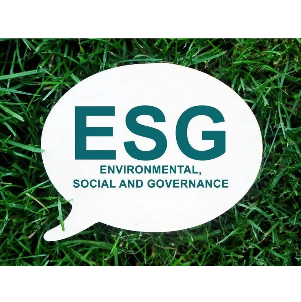 当下绝对热门的新词汇是ESG_到底什么是ESG呢？