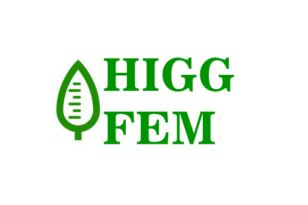 higg fem 验证